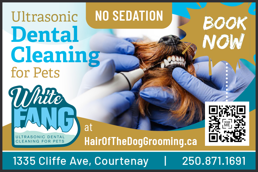 White Fang Dental