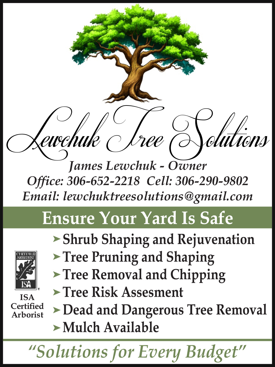 LEWCHUK TREE SOLUTIONS