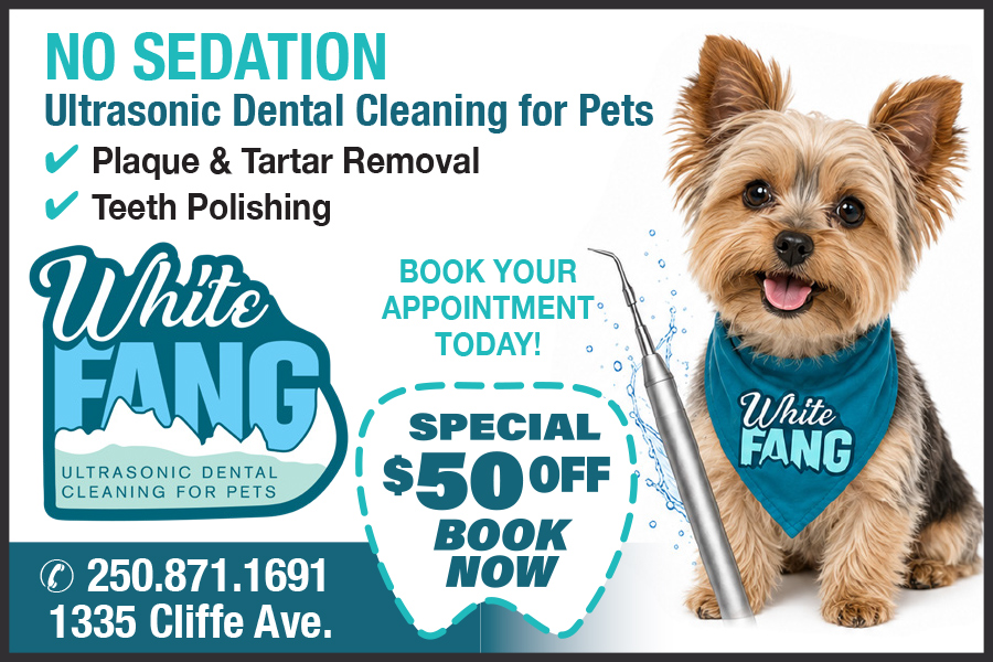 White Fang Dental