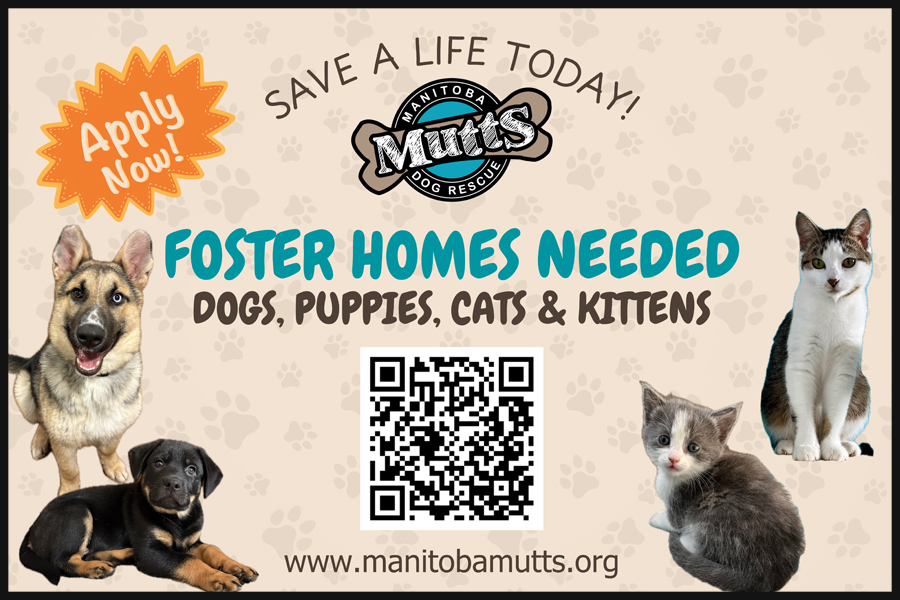 Manitoba Mutts Dog Rescue