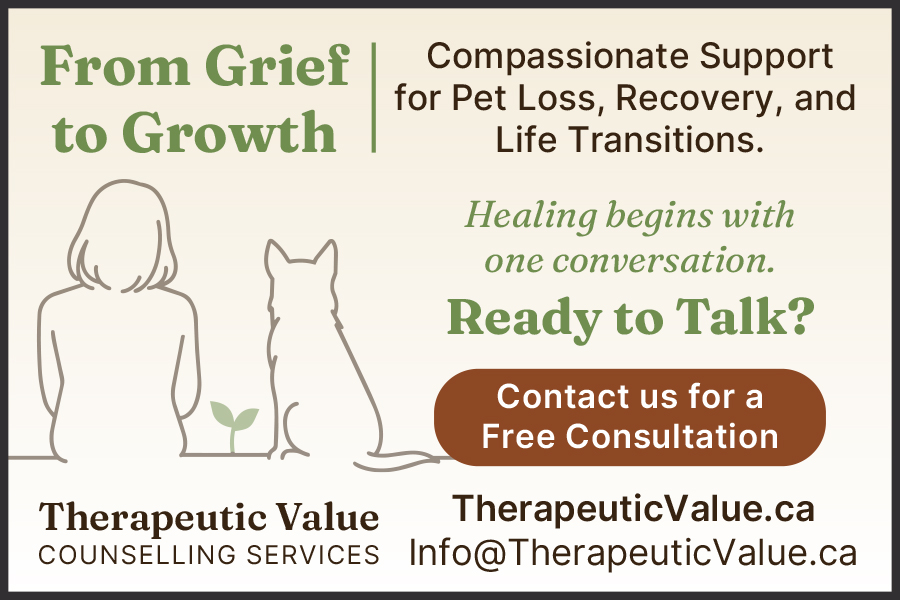 Therapeutic Value Counselling Service