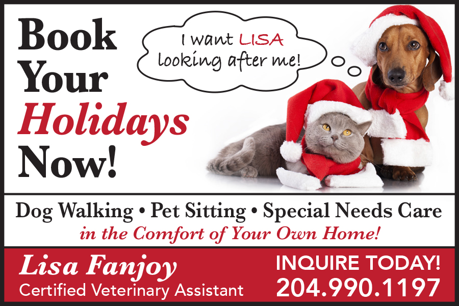 Professional Pet Sitter