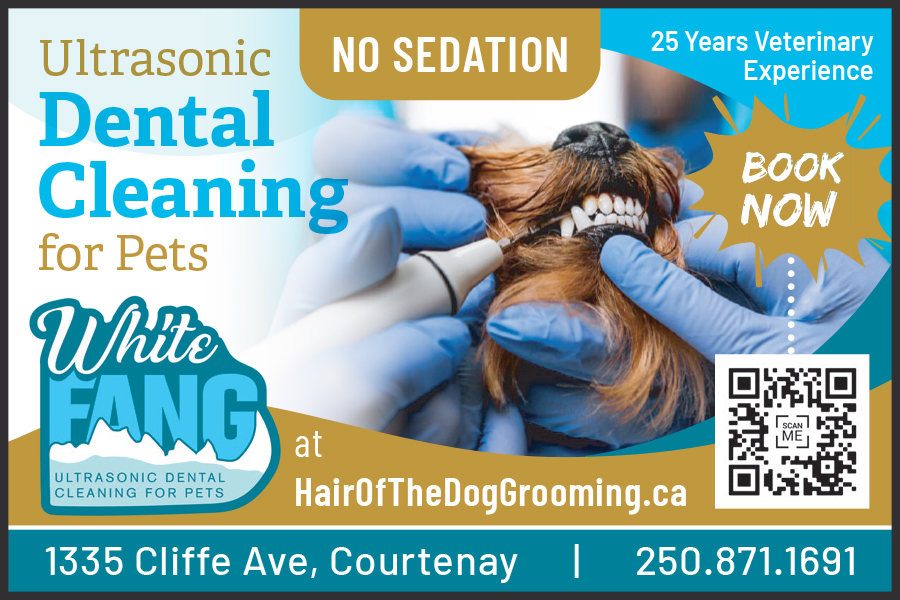 White Fang Dental