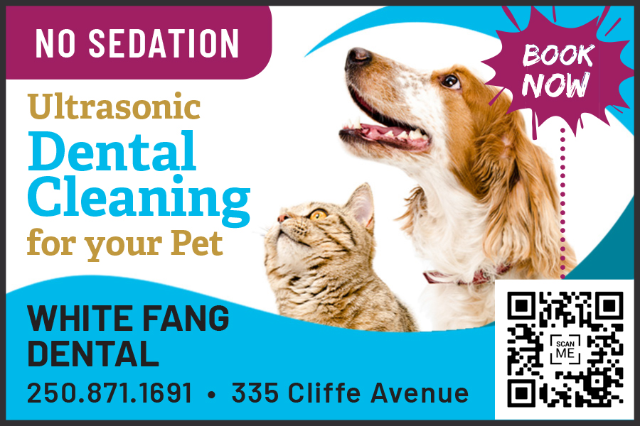 White Fang Dental