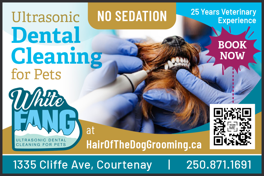 White Fang Dental