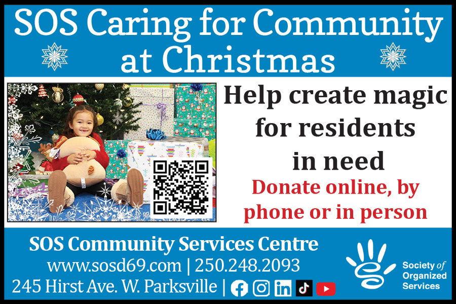 Society of Organized Services